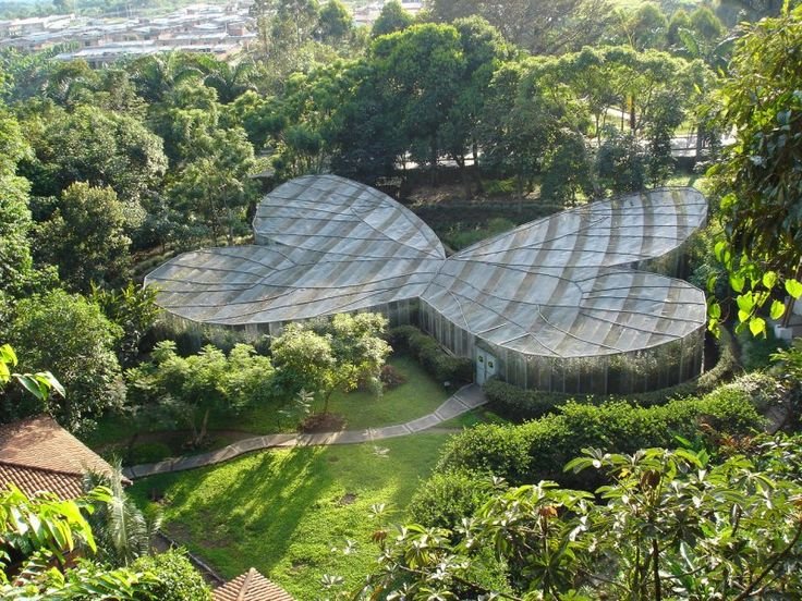 Jardin Botanico Quindio Colombia