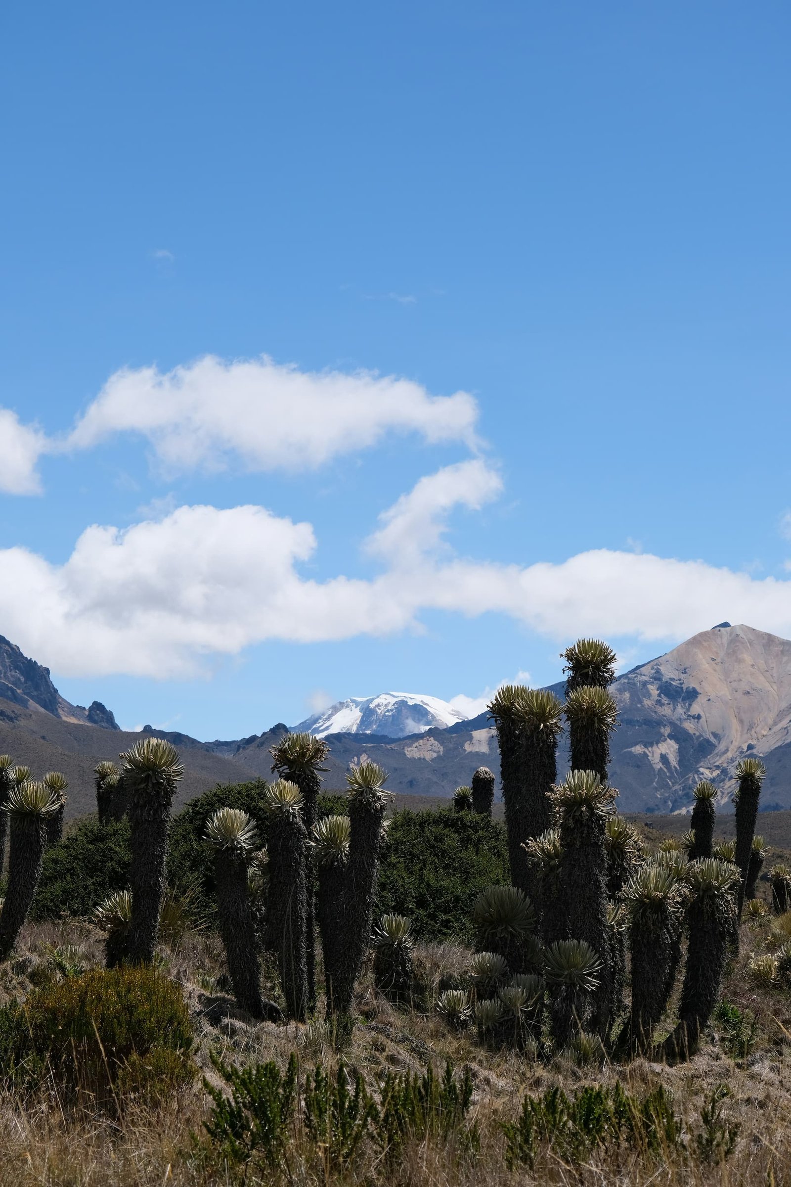 Nevado del Ruiz